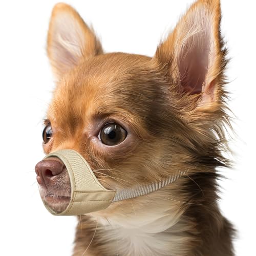 Mayerzon Maulkorb für Hunde mit kurzer Schnauze, Kleiner Maulkorb für Chihuahua, Shih Tzu, American Bully Boxer Welpen, weicher Stoff, Maulkörbe für Fellpflege, Tierarztbesuche, verhindert Beißen, Mayerzon Maulkorb für Hunde mit kurzer Schnauze, Kleiner Maulkorb für Chihuahua, Shih Tzu, American Bully Boxer Welpen, weicher Stoff, Maulkörbe für Fellpflege, Tierarztbesuche, verhindert Beißen, von Mayerzon