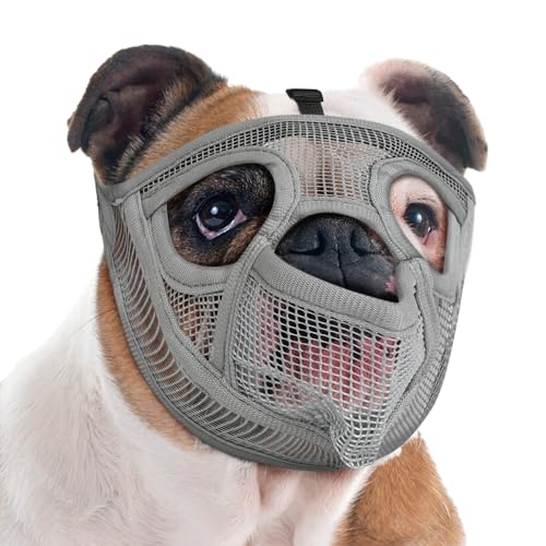 Mayerzon Maulkorb für Hunde mit kurzer Schnauze für Französische Bulldogge mit voller Hose, um das Fressen von Beißen zu verhindern, weicher Netzmaulkorb für Shih Tzu Mops, englische Bulldogge für Mayerzon Maulkorb für Hunde mit kurzer Schnauze für Französische Bulldogge mit voller Hose, um das Fressen von Beißen zu verhindern, weicher Netzmaulkorb für Shih Tzu Mops, englische Bulldogge für von Mayerzon