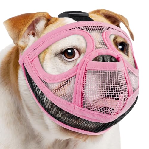 Mayerzon Maulkorb für Hunde mit kurzer Schnauze für Französische Bulldogge mit voller Hose, um das Fressen von Beißen zu verhindern, weicher Netzmaulkorb für Shih Tzu Mops, englische Bulldogge für Mayerzon Maulkorb für Hunde mit kurzer Schnauze für Französische Bulldogge mit voller Hose, um das Fressen von Beißen zu verhindern, weicher Netzmaulkorb für Shih Tzu Mops, englische Bulldogge für von Mayerzon