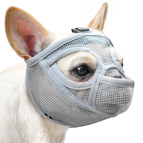 Mayerzon Maulkorb mit kurzer Schnauze für französische Bulldogge, mit Hose, um das Fressen von Bissen zu vermeiden, Maulkorb aus weichem Netzgewebe für Hunde, Shih Tzu Mops, Englische Bulldogge, für Mayerzon Maulkorb mit kurzer Schnauze für französische Bulldogge, mit Hose, um das Fressen von Bissen zu vermeiden, Maulkorb aus weichem Netzgewebe für Hunde, Shih Tzu Mops, Englische Bulldogge, für von Mayerzon