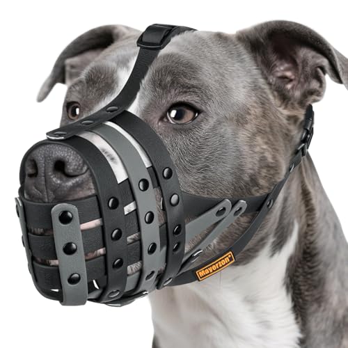 Mayerzon Pitbull Maulkorb, leichter Korbmaulkorb für große und mittelgroße Hunde, Rottweiler, Amstaff gegen Beißen, sicher für Fellpflege, Tierarztbesuche, ermöglicht das Drinks in der Hose Mayerzon Pitbull Maulkorb, leichter Korbmaulkorb für große und mittelgroße Hunde, Rottweiler, Amstaff gegen Beißen, sicher für Fellpflege, Tierarztbesuche, ermöglicht das Drinks in der Hose von Mayerzon