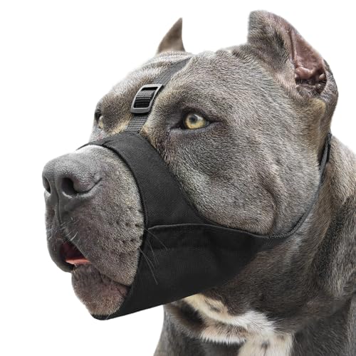 Mayerzon Pitbull Maulkorb, weicher Hundemaulkorb, Anti-Rutsch-Riemen, für American Bully, Bulldogge, Boxer, Rottweiler, Stoff-Maulschutz für mittelgroße und große kurze Schnauze, gegen Beißen, Kauen Mayerzon Pitbull Maulkorb, weicher Hundemaulkorb, Anti-Rutsch-Riemen, für American Bully, Bulldogge, Boxer, Rottweiler, Stoff-Maulschutz für mittelgroße und große kurze Schnauze, gegen Beißen, Kauen von Mayerzon