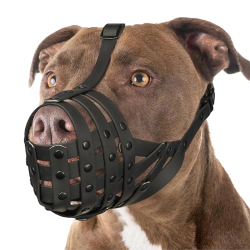 Mayerzon Pitbull-Maulkorb für große und mittelgroße Hunde, um Beißen zu verhindern, Korbmaulkorb für Rottweiler Staffordshire Terrier beim Fellpflegetraining, ermöglicht das Trinken in der Hose Mayerzon Pitbull-Maulkorb für große und mittelgroße Hunde, um Beißen zu verhindern, Korbmaulkorb für Rottweiler Staffordshire Terrier beim Fellpflegetraining, ermöglicht das Trinken in der Hose von Mayerzon