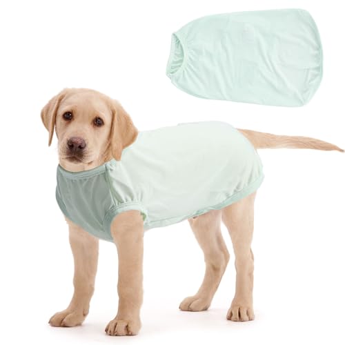 Mayoii Kühlweste für kleine Hunde, Kleidung für den Sommer, leicht, Eisseide, kühlender Hundemantel (Grün, L) von Mayoii