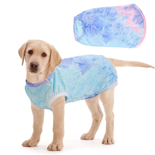 Mayoii Kühlweste für kleine Hunde, Kleidung für den Sommer, leicht, Eisseide, kühlender Hundemantel (Rosa, Blau, L) von Mayoii