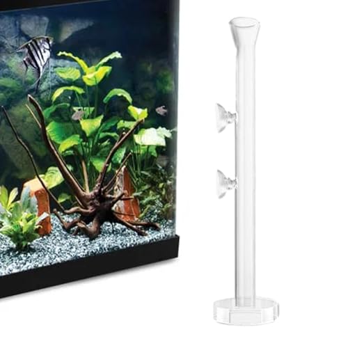 Futterrohr und Schale für aus klarem Glas – -Futterrohr mit Schüssel Futterrohr und Schale für aus klarem Glas – -Futterrohr mit Schüssel von Mbiyhgta
