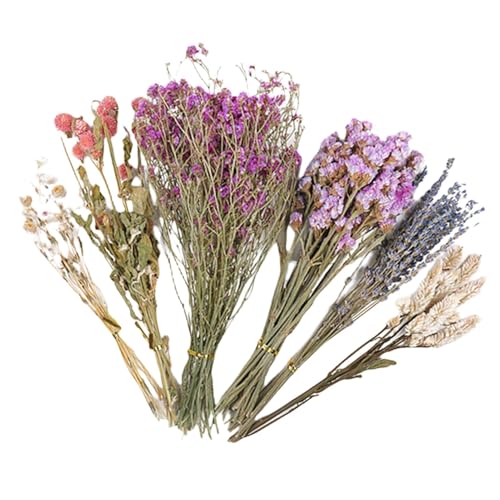 Getrocknete Blumenhamster-Bettwäsche – weiche Bettwäsche Mate, niedlicher Hamster-Bettwäsche Mate, Käfigdekoration | Naturkorn- , Käfigdekoration, Blumenhamster-Bettwäsche, Käfigzubehör für Getrocknete Blumenhamster-Bettwäsche – weiche Bettwäsche Mate, niedlicher Hamster-Bettwäsche Mate, Käfigdekoration | Naturkorn- , Käfigdekoration, Blumenhamster-Bettwäsche, Käfigzubehör für von Mbiyhgta