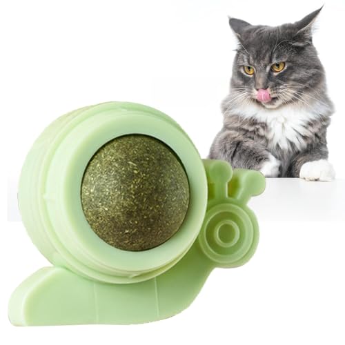 Katzenminze-Wandbälle – essbare Katzenminze-Wandspielzeuge, Katzen-Snack-Bälle in Schneckenform | Essbare Katzenbälle, Katzenminze-Wandroller, Katzen lecken die Zähne, reinigen Kätzchen, Kauspielzeug Katzenminze-Wandbälle – essbare Katzenminze-Wandspielzeuge, Katzen-Snack-Bälle in Schneckenform | Essbare Katzenbälle, Katzenminze-Wandroller, Katzen lecken die Zähne, reinigen Kätzchen, Kauspielzeug von Mbiyhgta