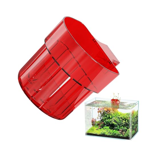 Mbiyhgta Fischhalter für Fische, Halterung zum Angeln, Wassertopf, zum Aufhängen, Wasserpflanzer mit Haken für Aquarium, Dekoration, Zubehör für Wasserkultur Mbiyhgta Fischhalter für Fische, Halterung zum Angeln, Wassertopf, zum Aufhängen, Wasserpflanzer mit Haken für Aquarium, Dekoration, Zubehör für Wasserkultur von Mbiyhgta