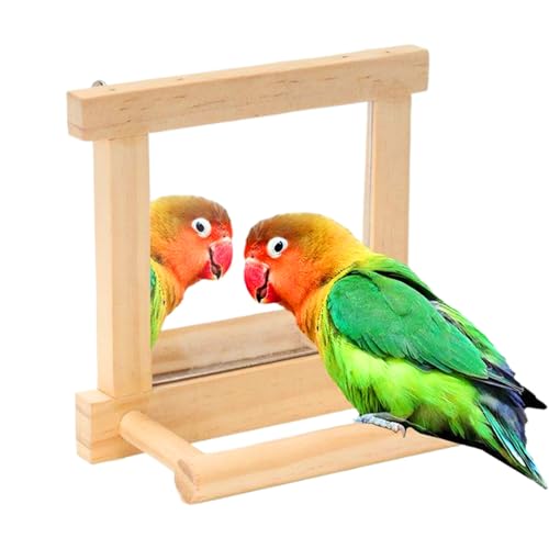 Mbiyhgta Vogelkäfigspiegel mit Barsch, Barschstand | Cockatiel Climbing Branch Toy | Pfotenschleifständer für -Käfigzubehör, Shot -Trainingstrainingszweige Mbiyhgta Vogelkäfigspiegel mit Barsch, Barschstand | Cockatiel Climbing Branch Toy | Pfotenschleifständer für -Käfigzubehör, Shot -Trainingstrainingszweige von Mbiyhgta
