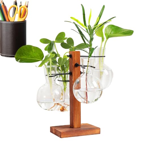 Plant Terrarium Wooden Stand - Home Plant Terrarium Kit, Glass Planter Bulb Vase | Vase aus Glas für Pflanzgefäß, modern, tragbar, Glasvase aus dem Becherhalter aus Holz für von Mbiyhgta