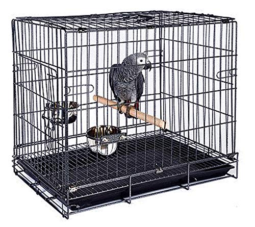 Robuster, leicht tragbarer, zusammenklappbarer Käfig aus Metall für Reisen oder Tierärzte, zusammenklappbar, für Papageien, Vögel, schnabelsicher, leicht zu reinigen, mit Edelstahl-Futterschalen Robuster, leicht tragbarer, zusammenklappbarer Käfig aus Metall für Reisen oder Tierärzte, zusammenklappbar, für Papageien, Vögel, schnabelsicher, leicht zu reinigen, mit Edelstahl-Futterschalen von Mcage