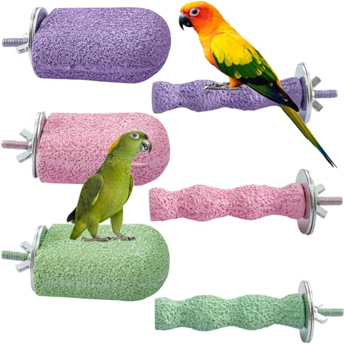 6 Stück Vogelschnabel Schleifen Kalziumstein, Papageienkäfig Sitzstange Ständer Plattform Fuß Krallen Trimmer, Papagei Beißstein Spielzeug, Vogelkäfig Zubehör für Sittich, Kaninchen, Hase, Hamster von MdakeGo