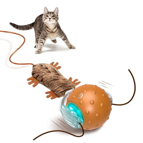 Interaktives Katzenspielzeug, das simuliert, dass sich Vogelzwitscher schnell über den Boden bewegen, für gelangweilte Indoor-Katzenspielzeug Interaktives Katzenspielzeug, das simuliert, dass sich Vogelzwitscher schnell über den Boden bewegen, für gelangweilte Indoor-Katzenspielzeug von Mdupw