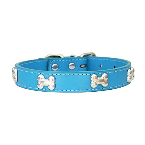 Mdurian Echtes Leder Metallknochen Nieten Hundehalsband Sichere und Bequeme verstellbare Halsbänder für kleine mittelgroße Hunde, (L, Lake Blue) von Mdurian