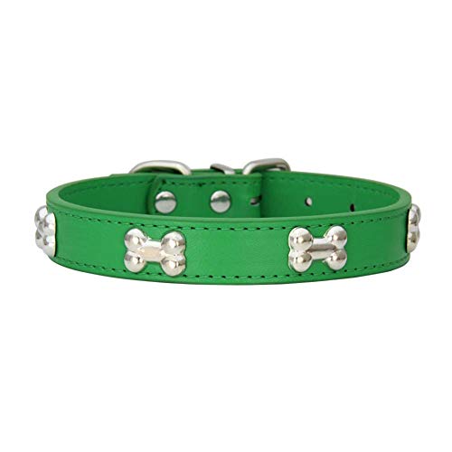 Mdurian Echtes Leder Metallknochen Nieten Hundehalsband Sicheres und bequemes verstellbares Halsband für kleine mittelgroße Hunde, (L, Grün) von Mdurian