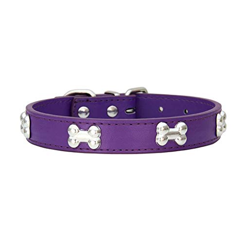 Mdurian Echtes Leder Metallknochen Nieten Hundehalsband Sicheres und bequemes verstellbares Halsband für kleine mittelgroße Hunde, (L, Lila) von Mdurian