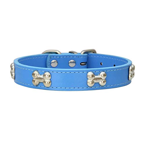 Mdurian Echtes Leder Metallknochen Nieten Hundehalsband Sicheres und bequemes verstellbares Halsband für kleine mittelgroße Hunde (XS, Blau) von Mdurian