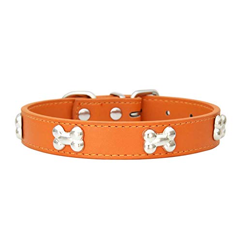 Mdurian Echtes Leder Metallknochen besetztes Hundehalsband Sicheres und bequemes verstellbares Halsband für kleine mittelgroße Hunde (XS, Orange) von Mdurian