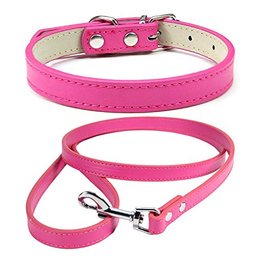 Mdurian Echtleder Leine Combo Set Einfarbiges Hundehalsband Sicher & Bequem Verstellbare Halsbänder für kleine, mittlere Hunde (Rose, XXS) von Mdurian