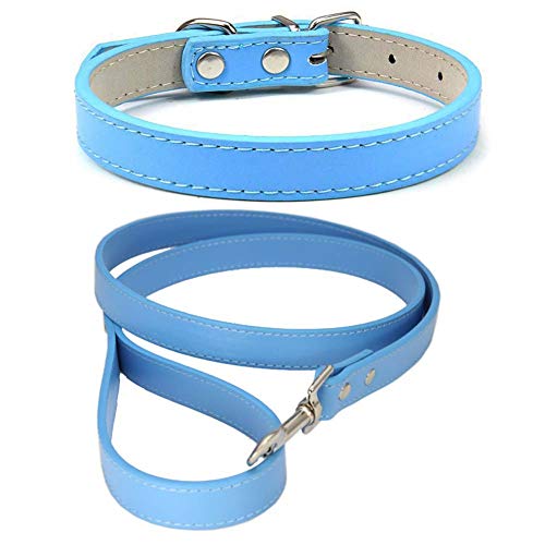 Mdurian Echtleder Leine Combo Set Einfarbiges Hundehalsband Sicher und bequem Verstellbare Halsbänder für kleine, mittlere Hunde (Blau, L) von Mdurian
