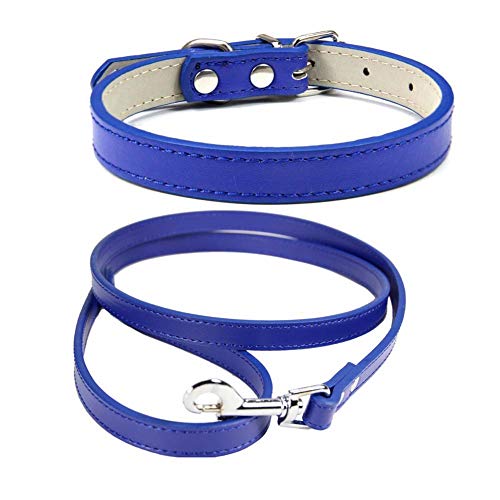 Mdurian Echtleder Leine Combo Set Einfarbiges Hundehalsband Sicher und bequem Verstellbare Halsbänder für kleine, mittlere Hunde (Königsblau, S) von Mdurian