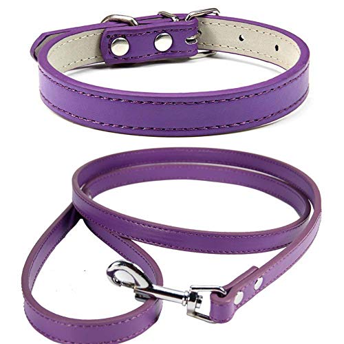 Mdurian Echtleder Leine Combo Set Einfarbiges Hundehalsband Sicher und bequem Verstellbare Halsbänder für kleine, mittlere Hunde (Lila, M) von Mdurian