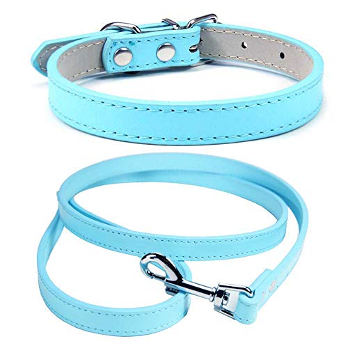 Mdurian Echtlederleine Combo Set Einfarbiges Hundehalsband Sicher und bequem Verstellbare Halsbänder für kleine, mittlere Hunde (Hellblau, M) von Mdurian