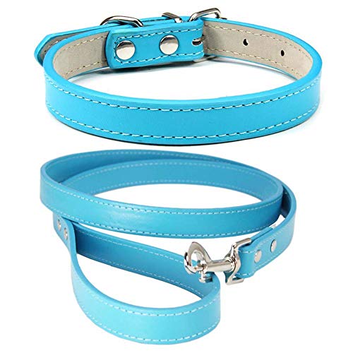 Mdurian Echtlederleine Combo Set Einfarbiges Hundehalsband Sicher und bequem Verstellbare Halsbänder für kleine, mittlere Hunde (Lake Blue, L) von Mdurian