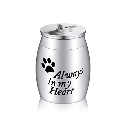 MeMeDIY Edelstahl Mini Urne Hund, Katze, Menschliche, Tierurne Personalisiert Gravur wasserdichte Gedenkurne, Andenken Urne für die Beerdigung, Geburtsstein (Silver, Black & White Photo, Always in..) von MeMeDIY