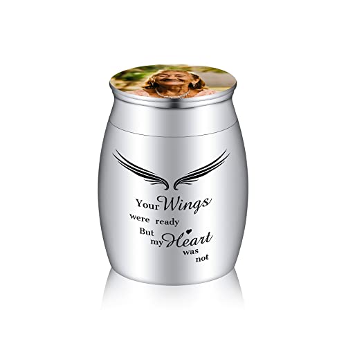 MeMeDIY Edelstahl Mini Urne Hund, Katze, Menschliche, Tierurne Personalisiert Gravur wasserdichte Gedenkurne, Andenken Urne für die Beerdigung, Geburtsstein (Silver, Color Photo, Your Wings..) von MeMeDIY
