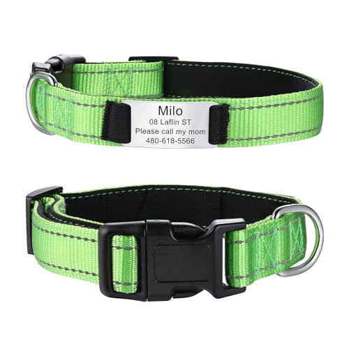 MeMeDIY Personalisierte Nylon-Hundehalsband mit Eingraviertem Namen Haustier-ID-Tag Leises Typenschild aus Edelstahl Verstellbares Halsband für Kleine/Mittlere/Große Hunde -Grün, L MeMeDIY Personalisierte Nylon-Hundehalsband mit Eingraviertem Namen Haustier-ID-Tag Leises Typenschild aus Edelstahl Verstellbares Halsband für Kleine/Mittlere/Große Hunde -Grün, L von MeMeDIY