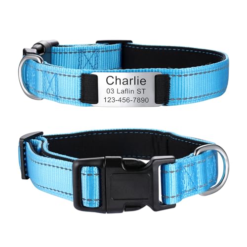MeMeDIY Personalisierte Nylon-Hundehalsband mit Eingraviertem Namen Haustier-ID-Tag Leises Typenschild aus Edelstahl Verstellbares Halsband für Kleine/Mittlere/Große Hunde -Himmelblau, L MeMeDIY Personalisierte Nylon-Hundehalsband mit Eingraviertem Namen Haustier-ID-Tag Leises Typenschild aus Edelstahl Verstellbares Halsband für Kleine/Mittlere/Große Hunde -Himmelblau, L von MeMeDIY