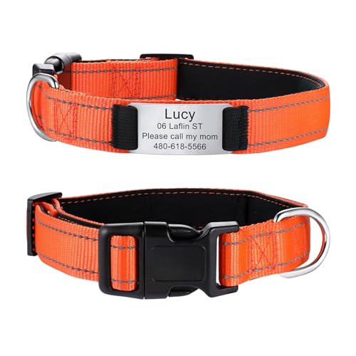 MeMeDIY Personalisierte Nylon-Hundehalsband mit Eingraviertem Namen Haustier-ID-Tag Leises Typenschild aus Edelstahl Verstellbares Halsband für Kleine/Mittlere/Große Hunde -Orange, L MeMeDIY Personalisierte Nylon-Hundehalsband mit Eingraviertem Namen Haustier-ID-Tag Leises Typenschild aus Edelstahl Verstellbares Halsband für Kleine/Mittlere/Große Hunde -Orange, L von MeMeDIY