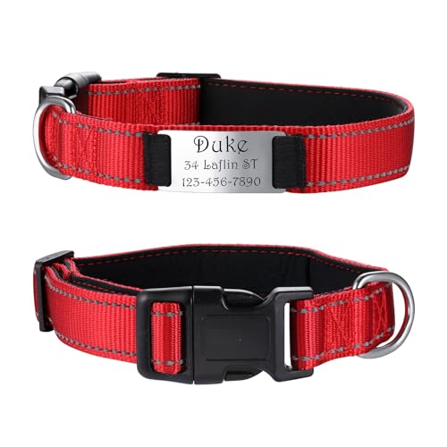 MeMeDIY Personalisierte Nylon-Hundehalsband mit Eingraviertem Namen Haustier-ID-Tag Leises Typenschild aus Edelstahl Verstellbares Halsband für Kleine/Mittlere/Große Hunde -Rot, L MeMeDIY Personalisierte Nylon-Hundehalsband mit Eingraviertem Namen Haustier-ID-Tag Leises Typenschild aus Edelstahl Verstellbares Halsband für Kleine/Mittlere/Große Hunde -Rot, L von MeMeDIY
