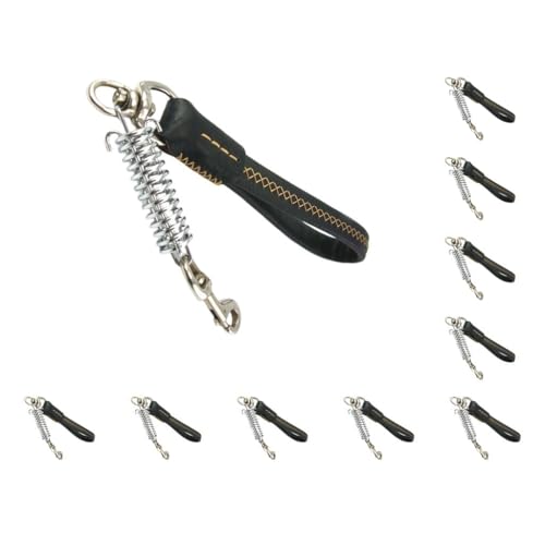 10er-Set Hundeleine, Haustierbedarf, Geschirr, Seil, exquisites Outdoor-Zubehör, hochfeste, feste Struktur, verstellbar, professioneller Gürtelhaken von Mealoodiousmusea