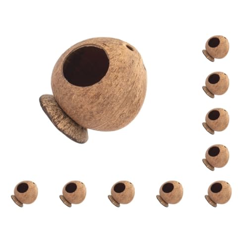 Kokosnusshamsterhaus, 10 Stück, einzigartiges Haustier-Hamsterhaus, pflegeleicht, pflegeleicht, ideal für kleine Räume Kokosnusshamsterhaus, 10 Stück, einzigartiges Haustier-Hamsterhaus, pflegeleicht, pflegeleicht, ideal für kleine Räume von Mealoodiousmusea