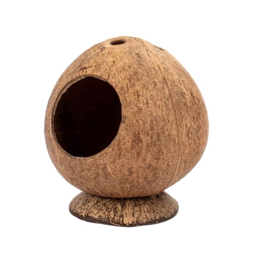 Kokosnusshamsterhaus – einzigartiges Haustier-Hamsterhaus, pflegeleicht, pflegeleicht, ideal für kleine Räume Kokosnusshamsterhaus – einzigartiges Haustier-Hamsterhaus, pflegeleicht, pflegeleicht, ideal für kleine Räume von Mealoodiousmusea