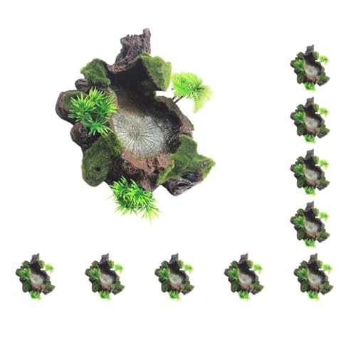 Mealoodiousmusea 10er-Set breite Anwendung Reptilien-Futterschale dekorative Harzschale für Futter und Wasser Reptilienfutter Wasserschale Reptilien Harzschale von Mealoodiousmusea
