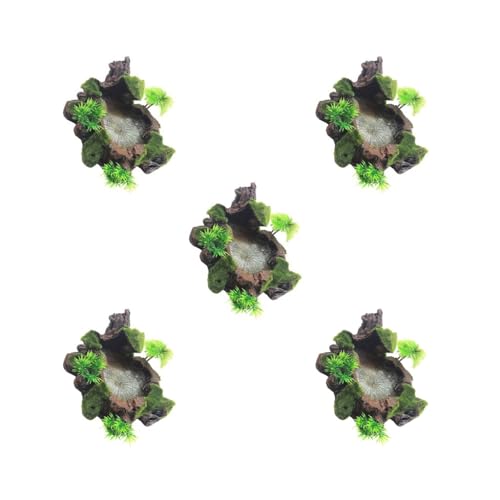 Mealoodiousmusea 5er-Set breite Anwendung Reptilien-Futterschale dekorative Harzschale für Futter und Wasser Reptilienfutter Wasserschale Reptilien Harzschale Mealoodiousmusea 5er-Set breite Anwendung Reptilien-Futterschale dekorative Harzschale für Futter und Wasser Reptilienfutter Wasserschale Reptilien Harzschale von Mealoodiousmusea