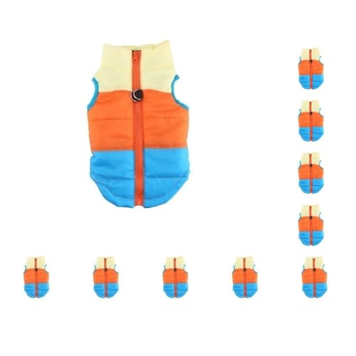 Winterkleidung für kleine Hunde und Katzen, gepolstert, Größe XS, Azurblau, 10 Stück Winterkleidung für kleine Hunde und Katzen, gepolstert, Größe XS, Azurblau, 10 Stück von Mealoodiousmusea