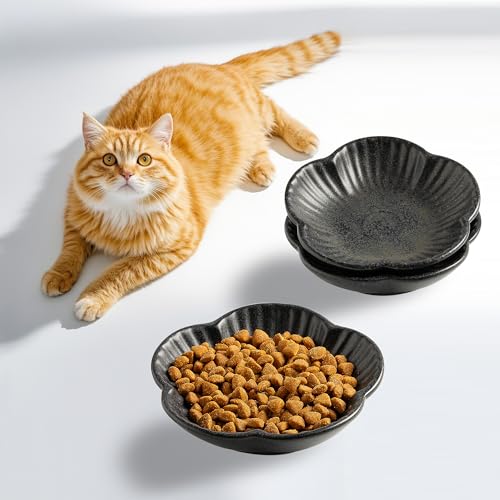 Katzenfutterschüssel, Keramik-Katzenteller, Schüssel für Futter, Wasser und Snack, 11,9 cm, für drinnen und draußen, Kätzchen, Welpen und Kleintiere, 3 Stück (schwarz) von Mecaikru
