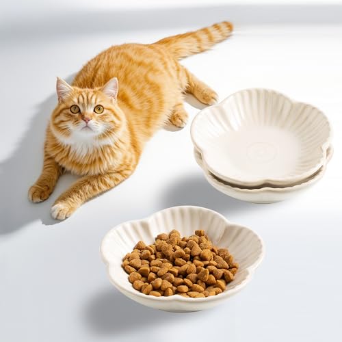 Katzenfutterschüssel, Keramik-Katzenteller, Schüssel für Futter, Wasser und Snack, 12,9 cm, für drinnen und draußen, Kätzchen, Welpen und Kleintiere, 3 Stück (Weiß) von Mecaikru