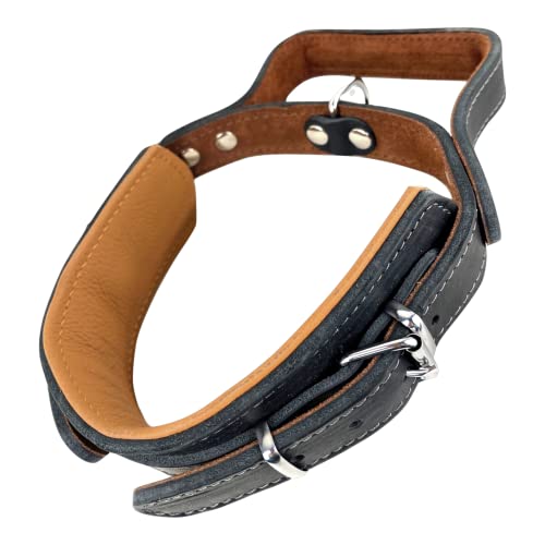 Hundehalsband mit Griff, Dickes qualitativ hochwertiges Leder 40cm bis 55cm x 60mm - Erziehungshalsband - Taktisches Halsband - bis zu 15cm verstellbar - weich gepolstert von MediMuc