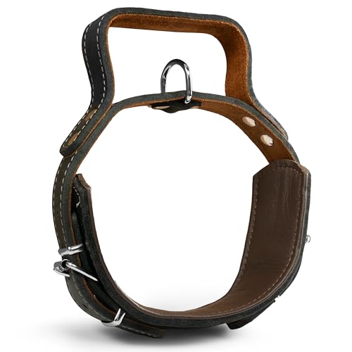 Hundehalsband mit Griff, Dickes qualitativ hochwertiges Leder 40cm bis 55cm x 60mm - Erziehungshalsband - Taktisches Halsband - bis zu 15cm verstellbar - weich gepolstert von MediMuc