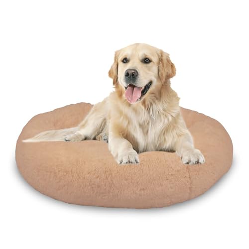 Mediashop Peaceful Pooch L - Flauschiges Hundebett - gelenkschondendes Hundekissen - waschbarer Bezug - Hundekörbchen - Donut Kissen für große Hunde Mediashop Peaceful Pooch L - Flauschiges Hundebett - gelenkschondendes Hundekissen - waschbarer Bezug - Hundekörbchen - Donut Kissen für große Hunde von Mediashop