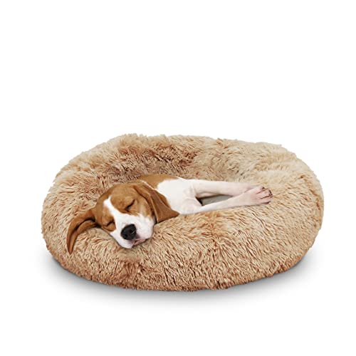 Mediashop Peaceful Pooch M - Flauschiges Hundebett & Katzenbett - gelenkschondendes Hundekissen - waschbarer Bezug - Hundekörbchen - Donut Kissen für Hunde & Katzen von Mediashop