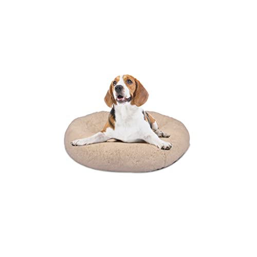 Mediashop Peaceful Pooch S - Flauschiges Hundebett & Katzenbett - gelenkschondendes Hundekissen - waschbarer Bezug - Hundekörbchen - Donut Kissen für Hunde & Katzen von Mediashop