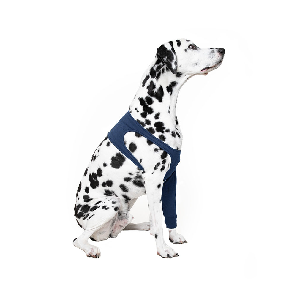 MPS-TAZ Vorderpfotenschutz - XS von Medical Pet Shirt