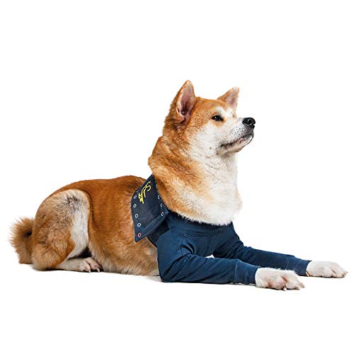 MPS Medical Pet Shirt - TAZ2, Doppelte vordere Beinmanschette für Hunde, L MPS Medical Pet Shirt - TAZ2, Doppelte vordere Beinmanschette für Hunde, L von MPS